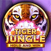 Hình ảnh minh họa kho trò chơi đa dạng tại winvnd bao gồm thể thao, casino, nổ hũ và bắn cá