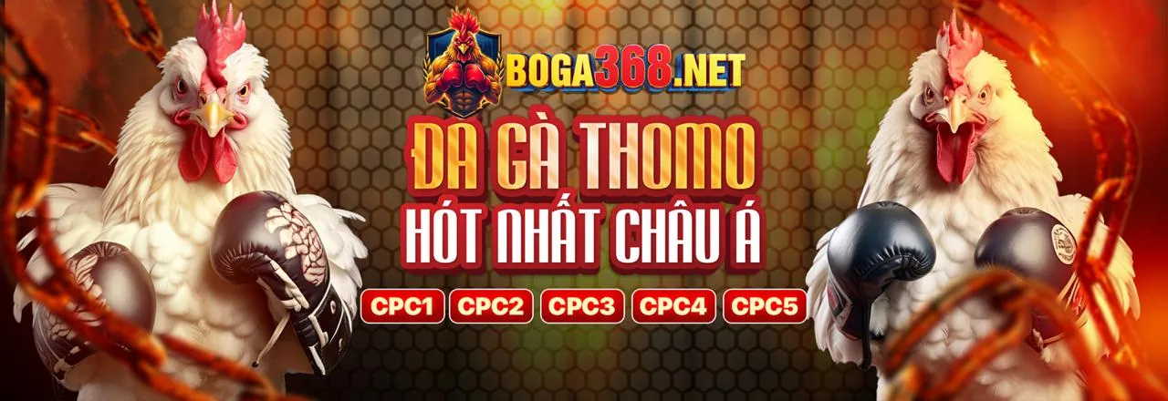 Đá gà trực tuyến kịch tính tại winvnd